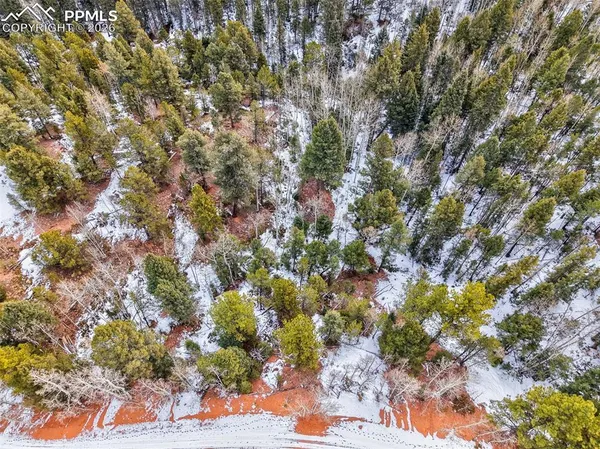 $14,999 | 1181 Calcite Drive, Divide, CO 80814