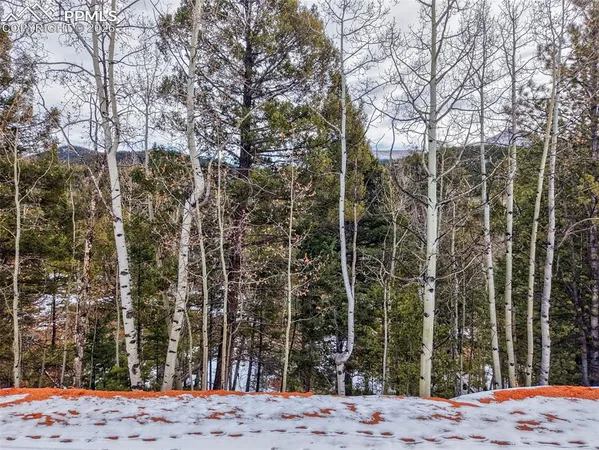 a view of a backyard of the house