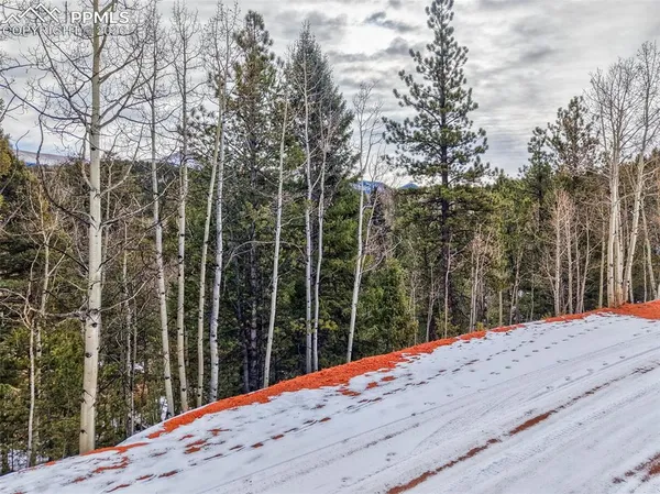 a outdoor view having yard