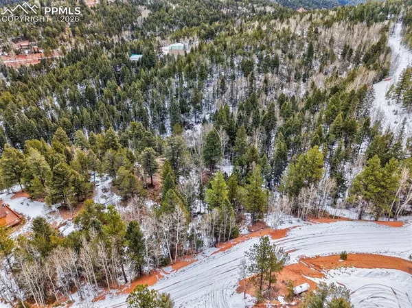 a view of a yard with plants and trees