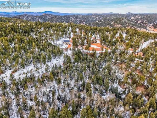 a view of a city with lush green forest