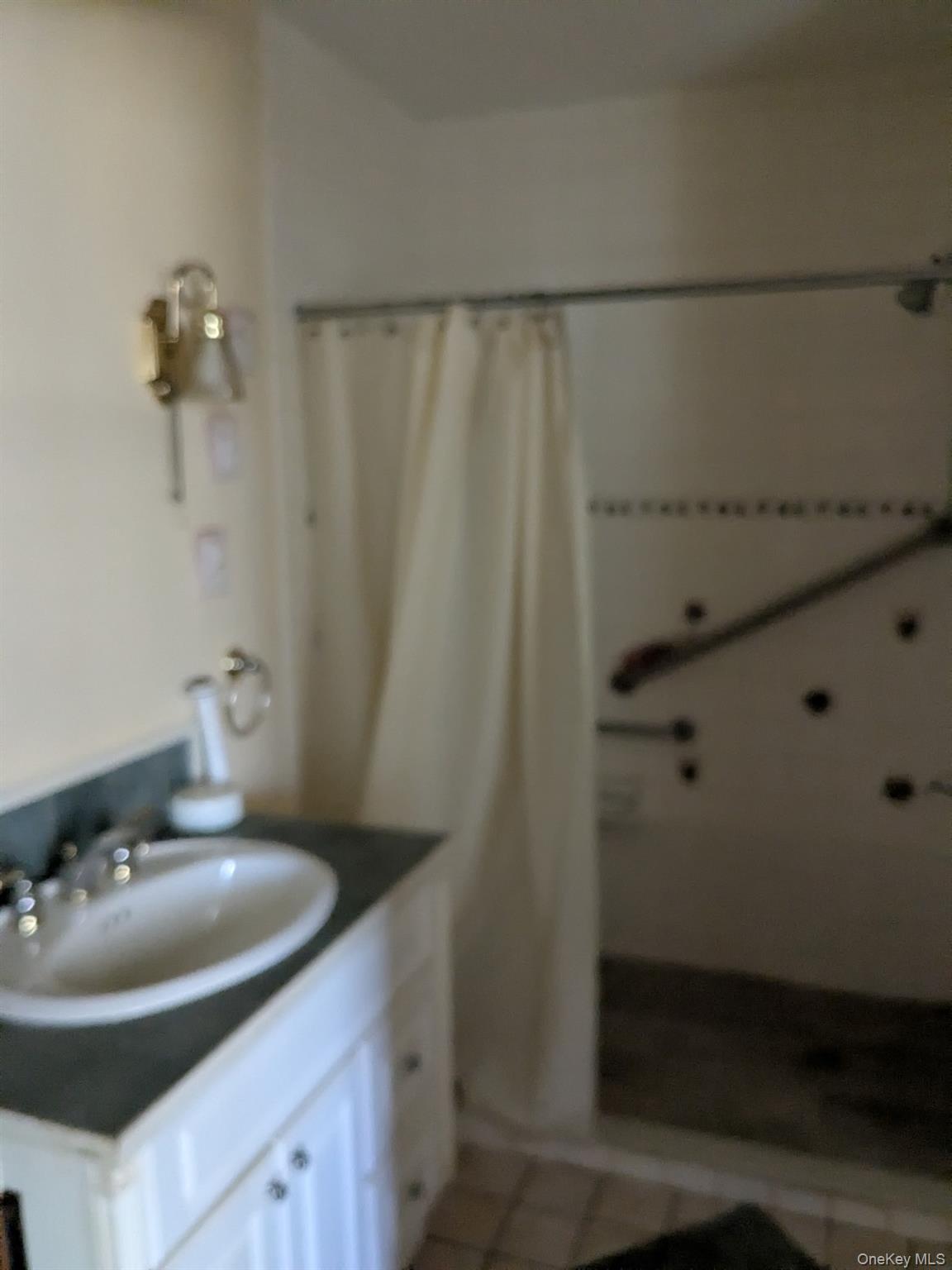 293 Carl Road Jewett, NY 12444 - Photo 12 of 49 a bathroom with a sink and mirror