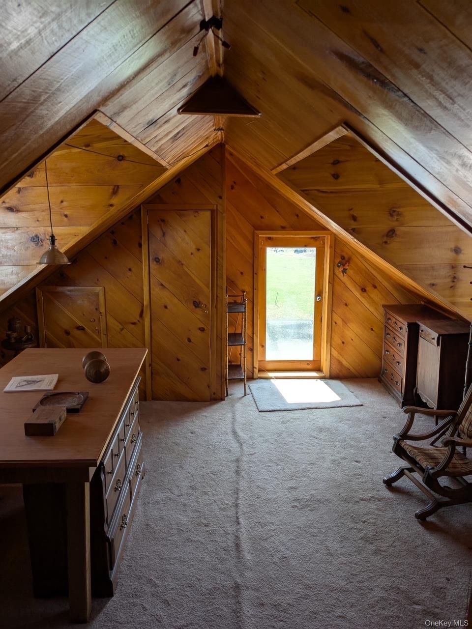 293 Carl Road Jewett, NY 12444 - Photo 14 of 49 a view of a room with gym equipment