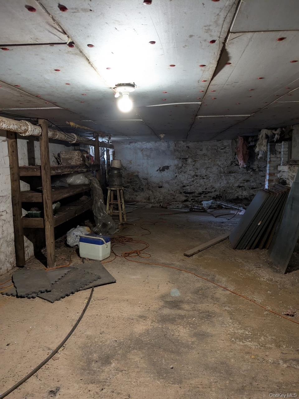 293 Carl Road Jewett, NY 12444 - Photo 34 of 49 a view of parking garage