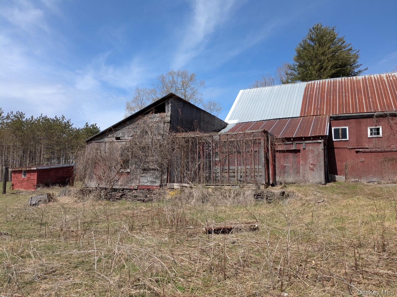 293 Carl Road Jewett, NY 12444 - Photo 37 of 49 a view of a house with a yard