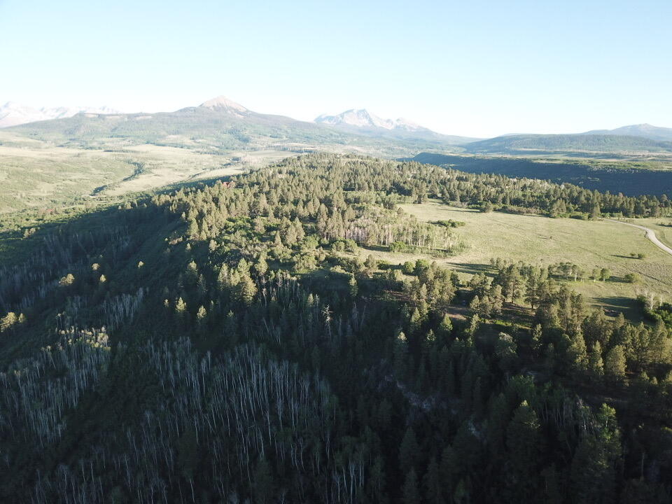 Ariel view above Lot 26