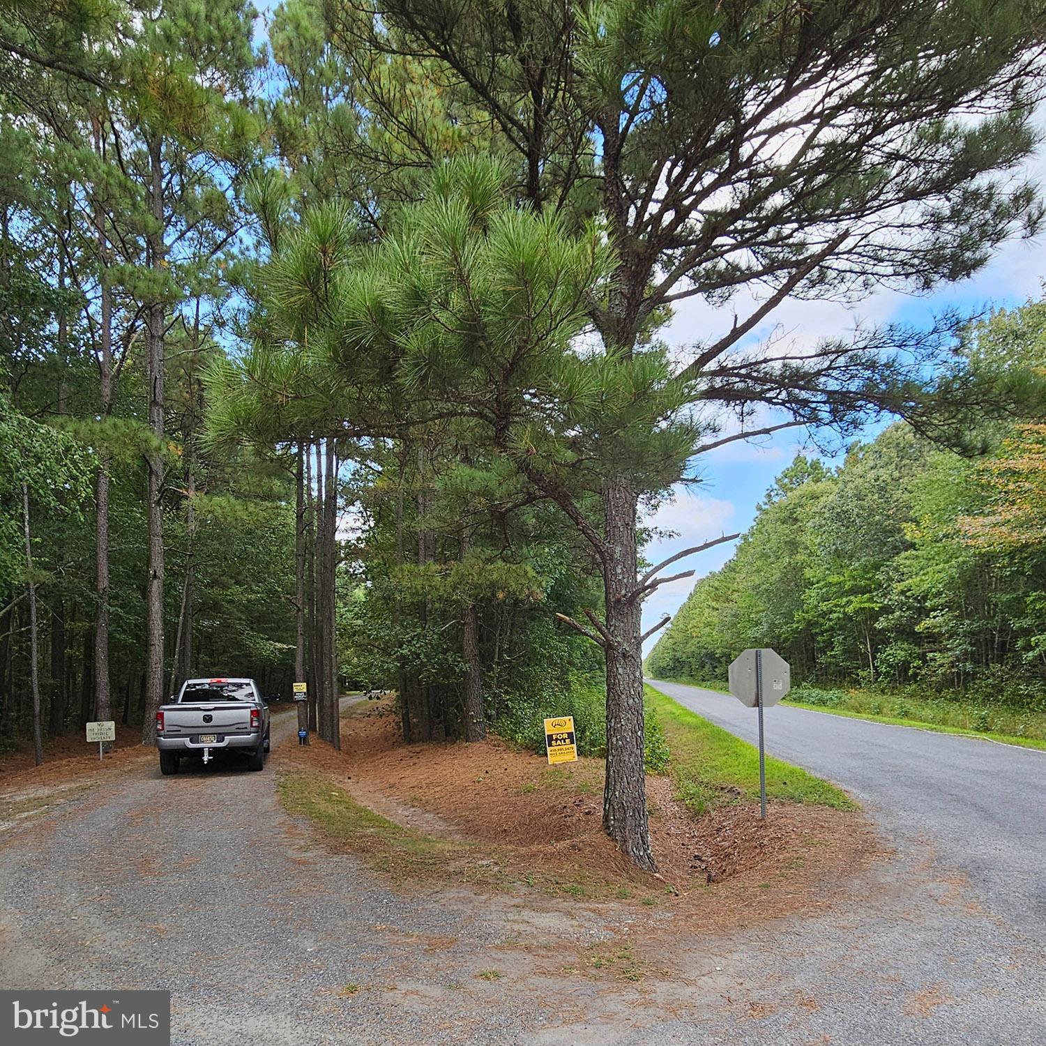 0 Silver Goose Road Cambridge, MD 21613 - Photo 3 of 9