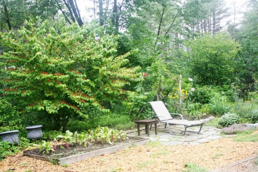 120 Reservoir Road Springfield, VT 05150 - Photo 22 of 40