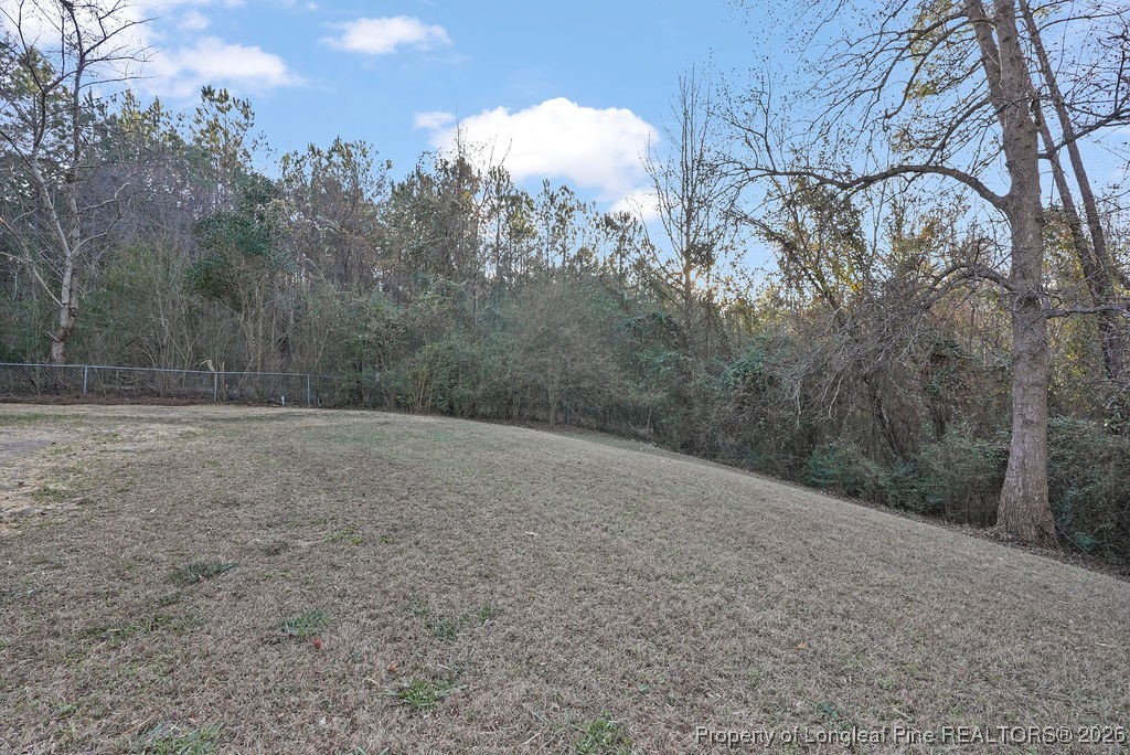 5314 Hornbeam Road Fayetteville, NC 28304 - Photo 14 of 15 a view of a dry yard