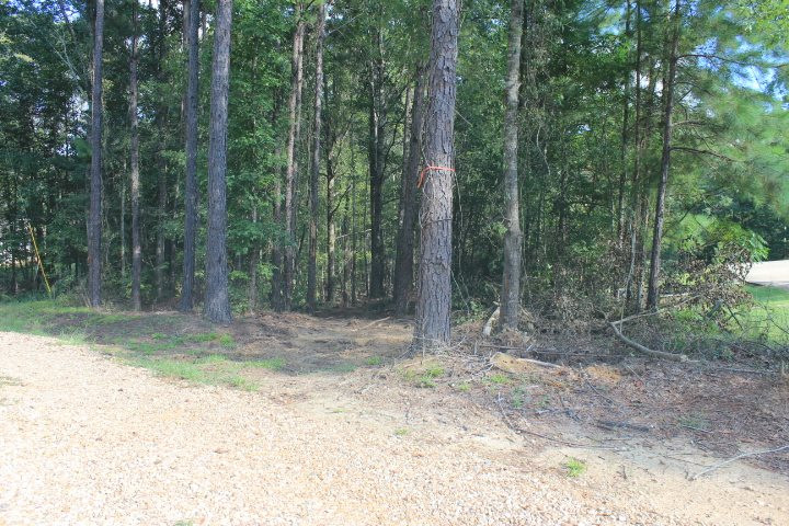 986 Ridgeside Drive Brandon, MS 39042 - Photo 1 of 16 Photo 1