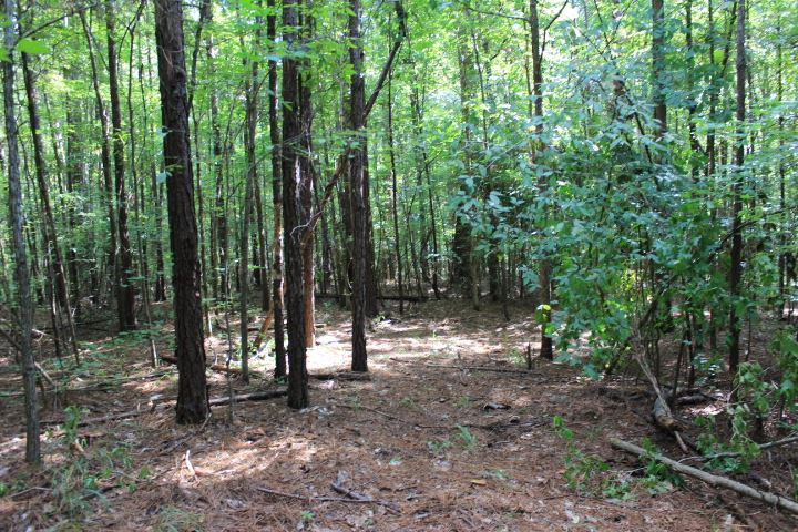 986 Ridgeside Drive Brandon, MS 39042 - Photo 12 of 16 Photo 12
