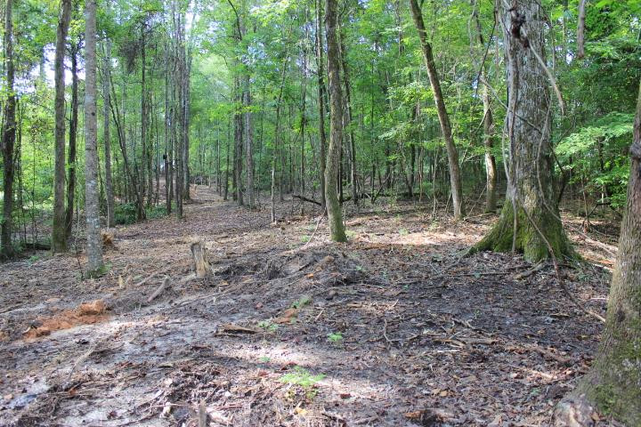 986 Ridgeside Drive Brandon, MS 39042 - Photo 13 of 16 Photo 13