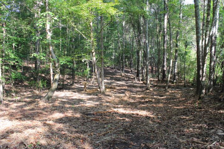 986 Ridgeside Drive Brandon, MS 39042 - Photo 2 of 16 Photo 2