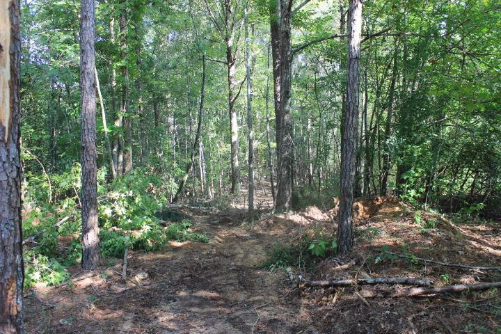 986 Ridgeside Drive Brandon, MS 39042 - Photo 5 of 16 Photo 5