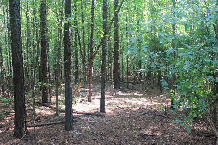 986 Ridgeside Drive Brandon, MS 39042 - Photo 7 of 16 Photo 7