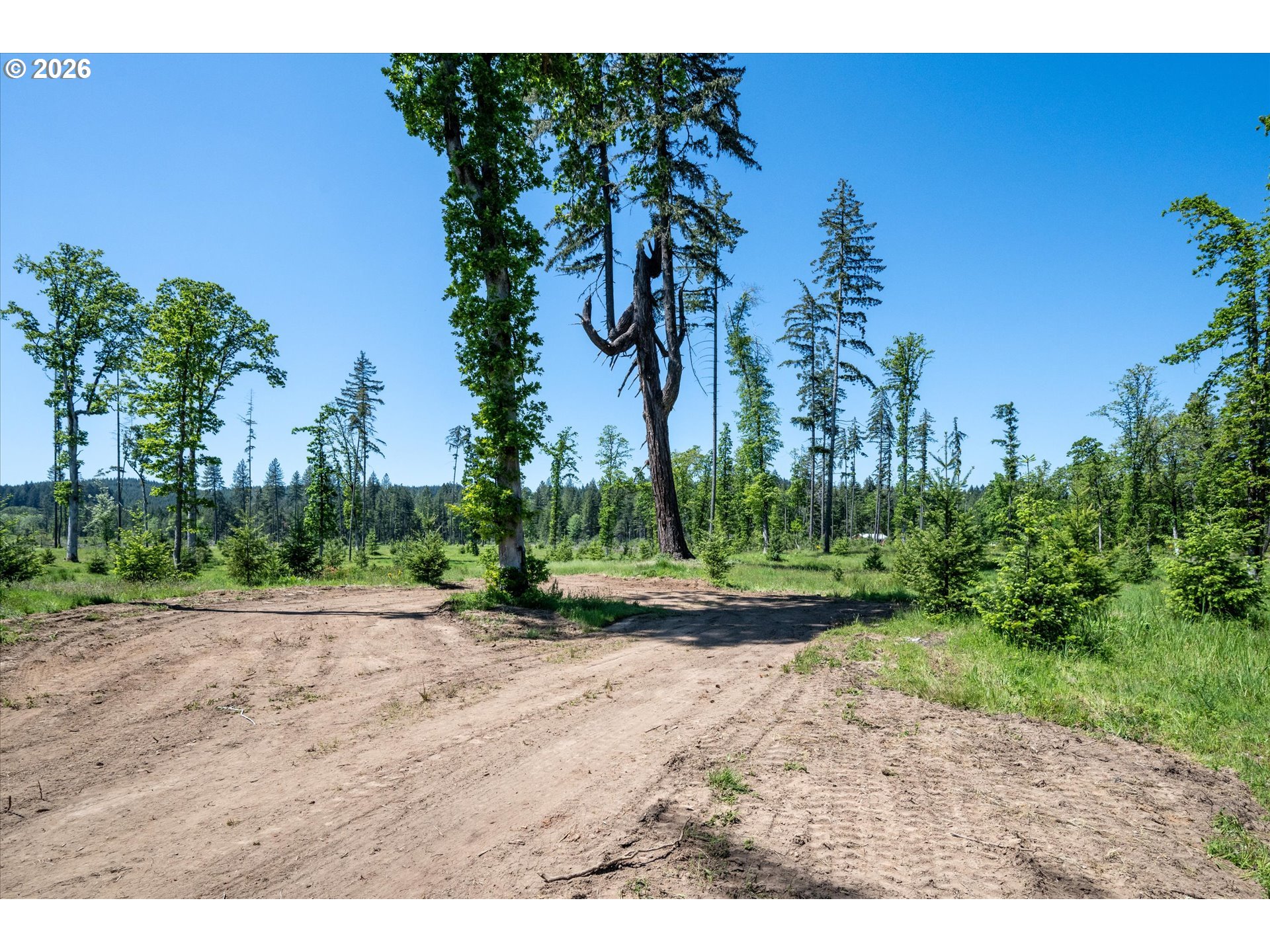 Suttle Road Elmira, OR 97437 - Photo 7 of 17