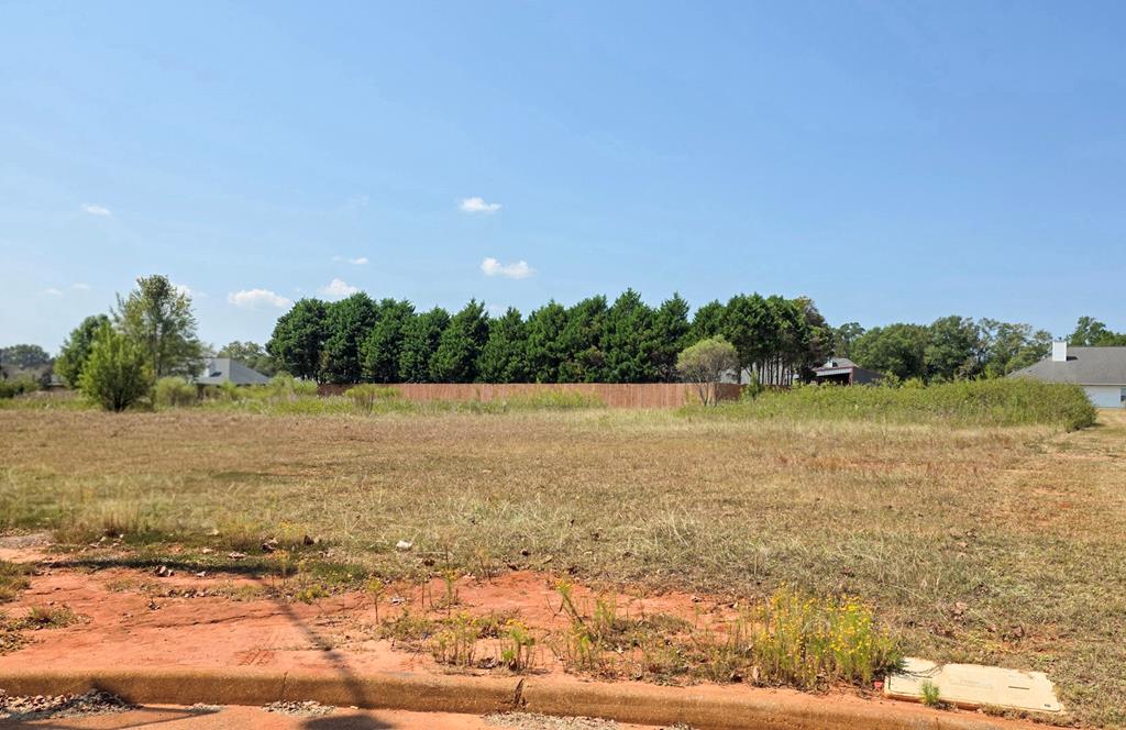 0 Hannah Road Daleville, AL 36322 - Photo 3 of 4