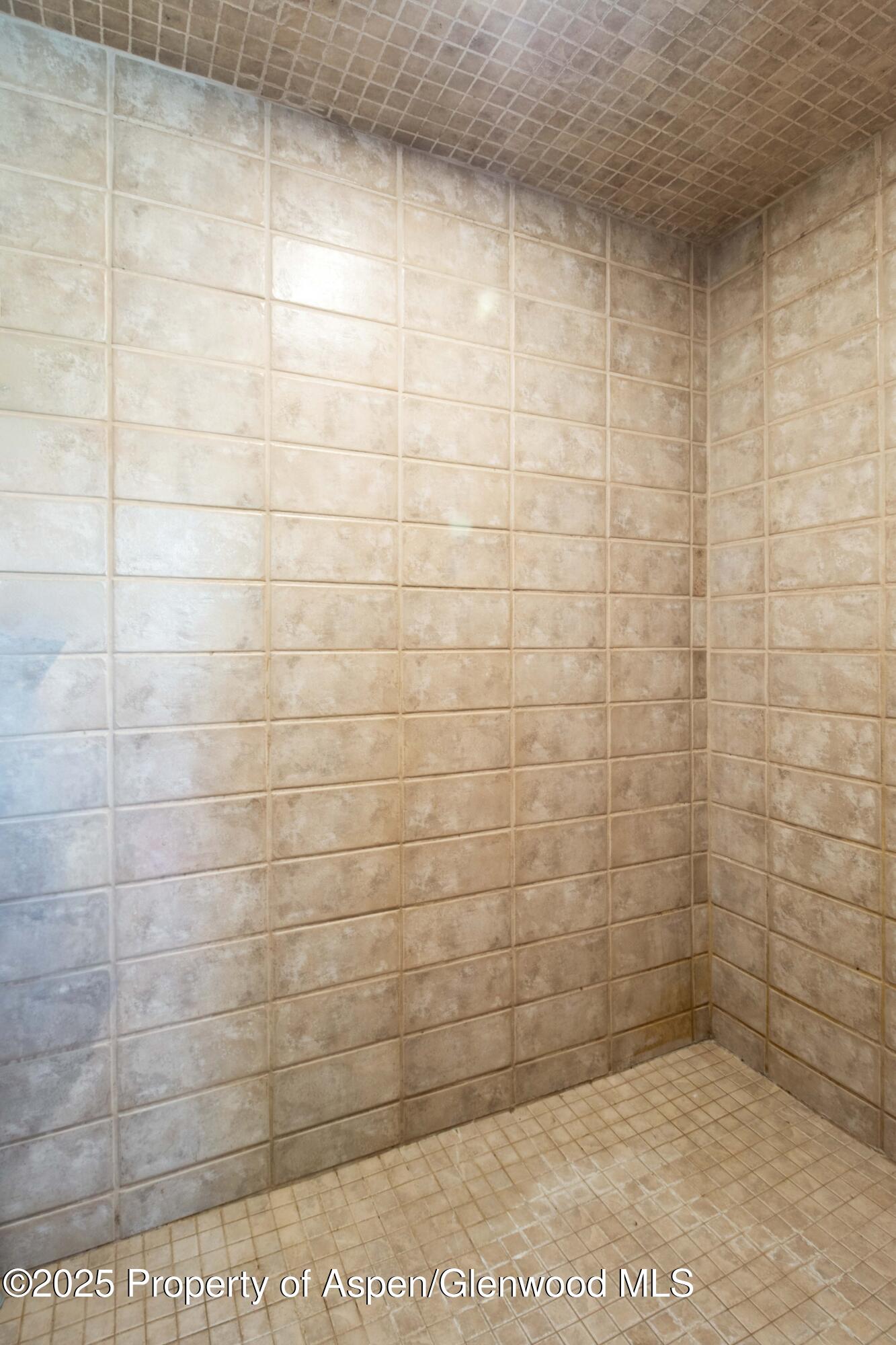 228 Midland Point Road Carbondale, CO 81623 - Photo 23 of 40 27