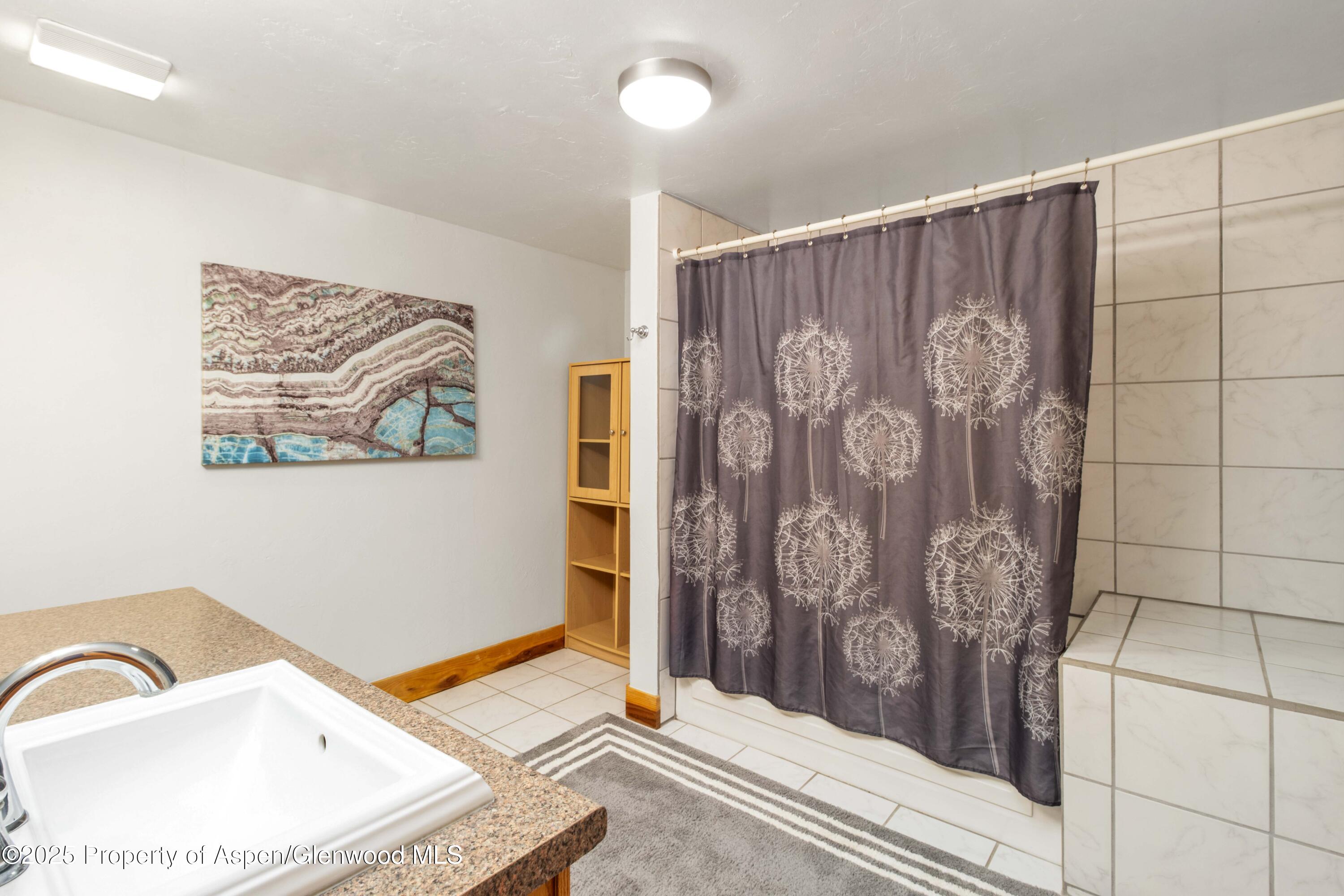 228 Midland Point Road Carbondale, CO 81623 - Photo 28 of 40 39