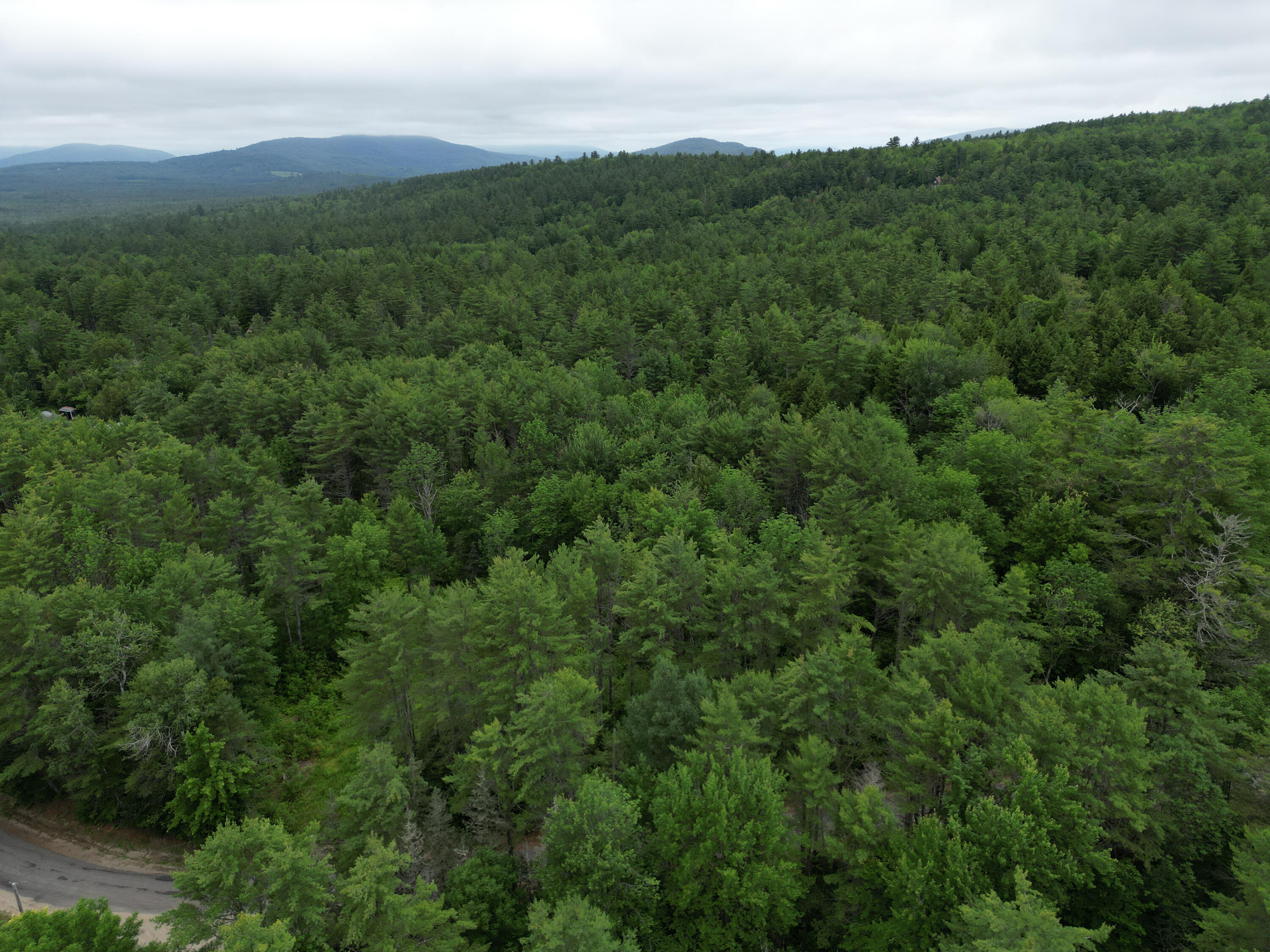 Lot 30 Irish Neighborhood Road Bethel, ME 04217 - Photo 4 of 24 DJI_0609