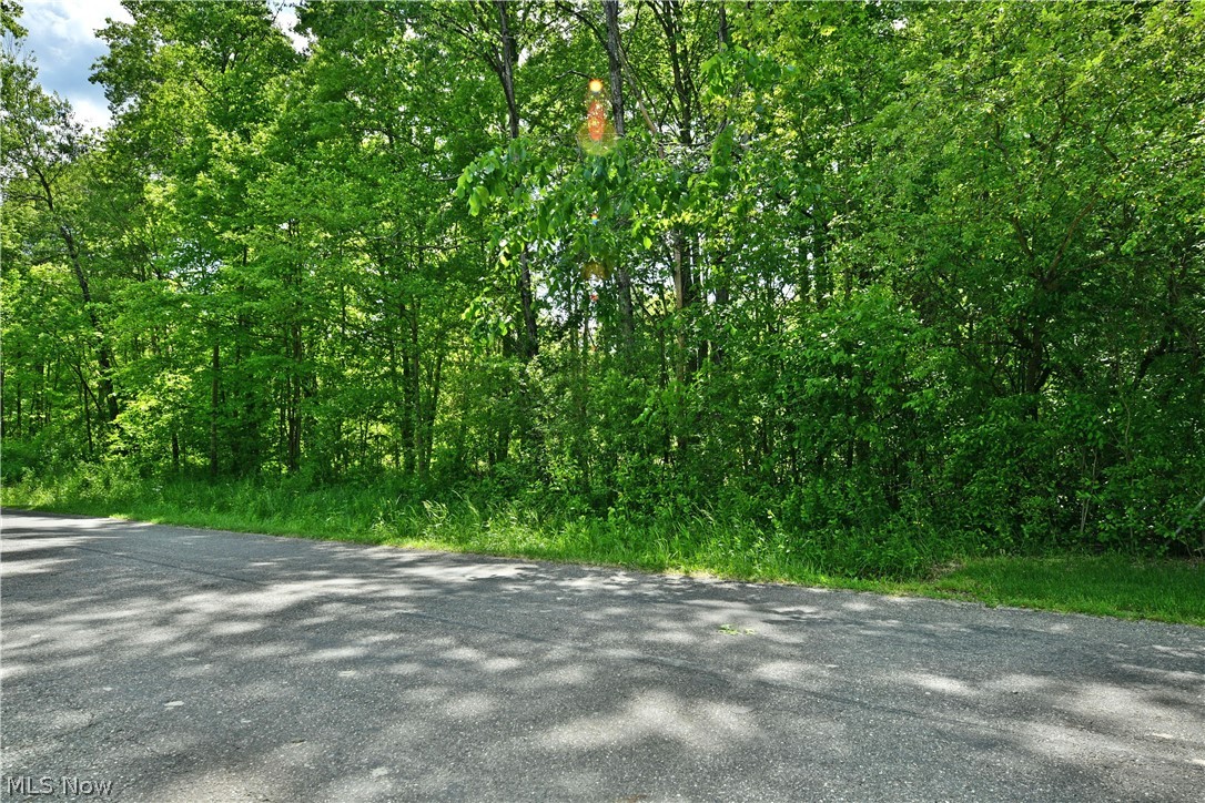 Mahan Denman Road Bristolville, OH 44402 - Photo 19 of 20