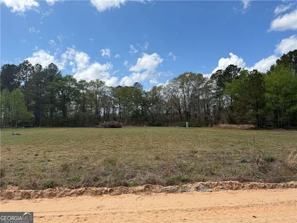 $24,000 | 359 Cane Circle, Nahunta, GA 31553