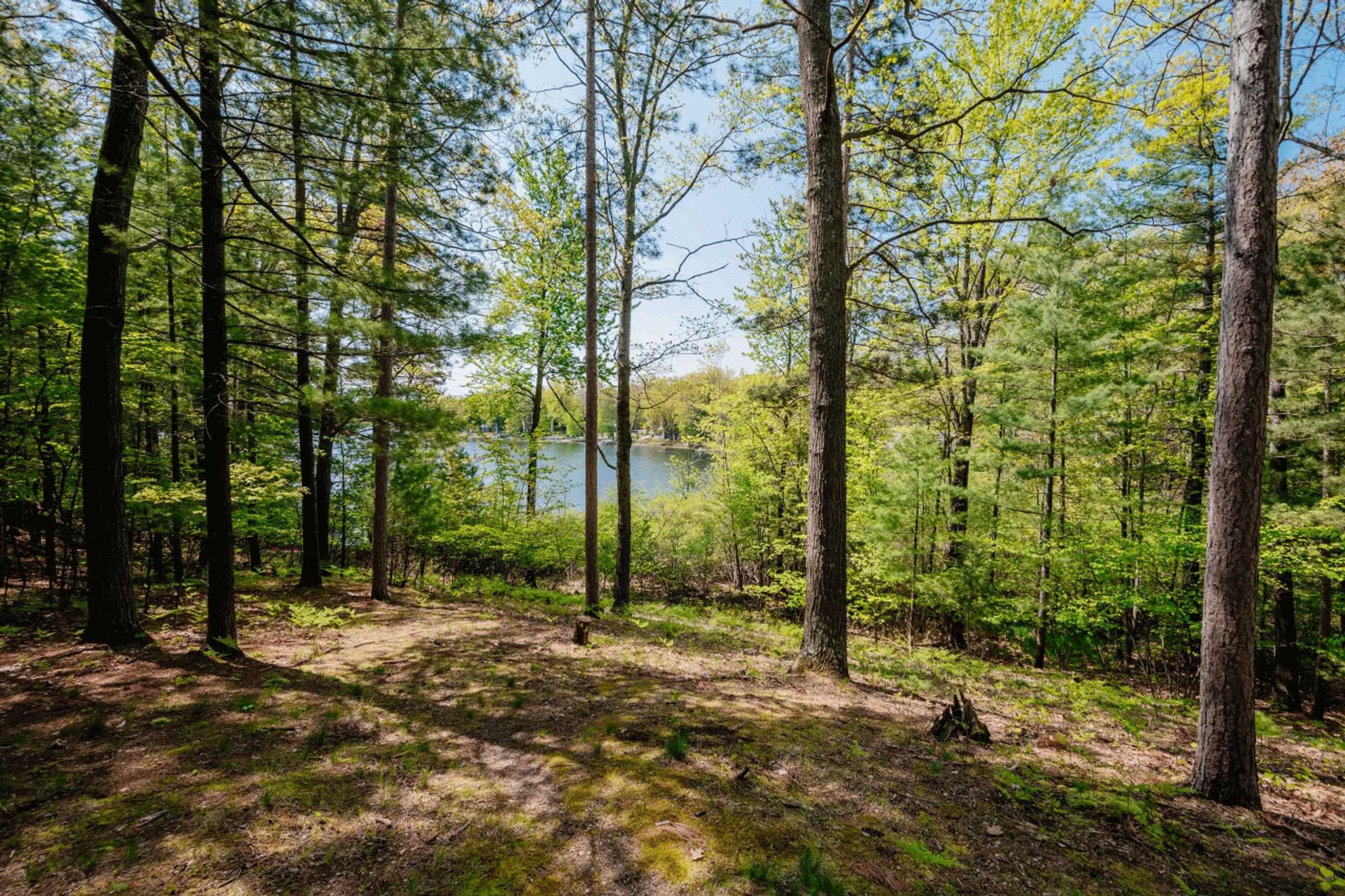 600 Bass Lake Road Traverse City, MI 49685 - Photo 69 of 74 1941563-baa7a5c2-e1b8-481a-8262-36ff5a85df97.JPG