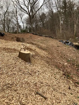 a view of outdoor space and yard