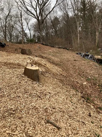a view of outdoor space and yard