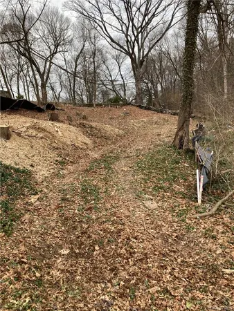 a backyard of a house with large trees