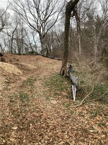 a view of a yard with trees