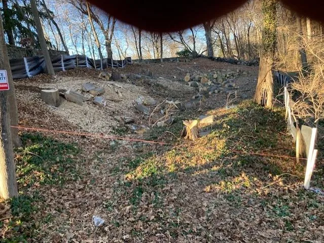 a view of dirt yard with a large tree