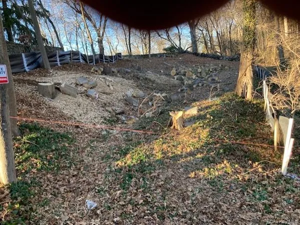 a view of dirt yard with a large tree