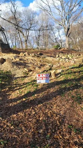 a view of a yard with an trees