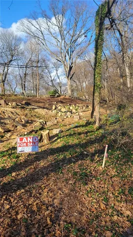 a view of a yard with an trees