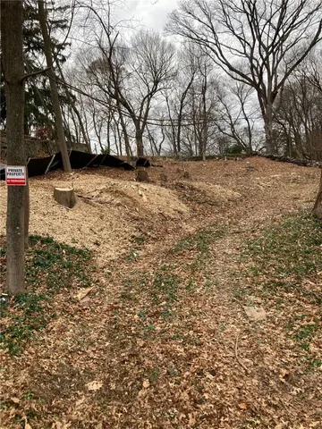 a view of a yard with a tree
