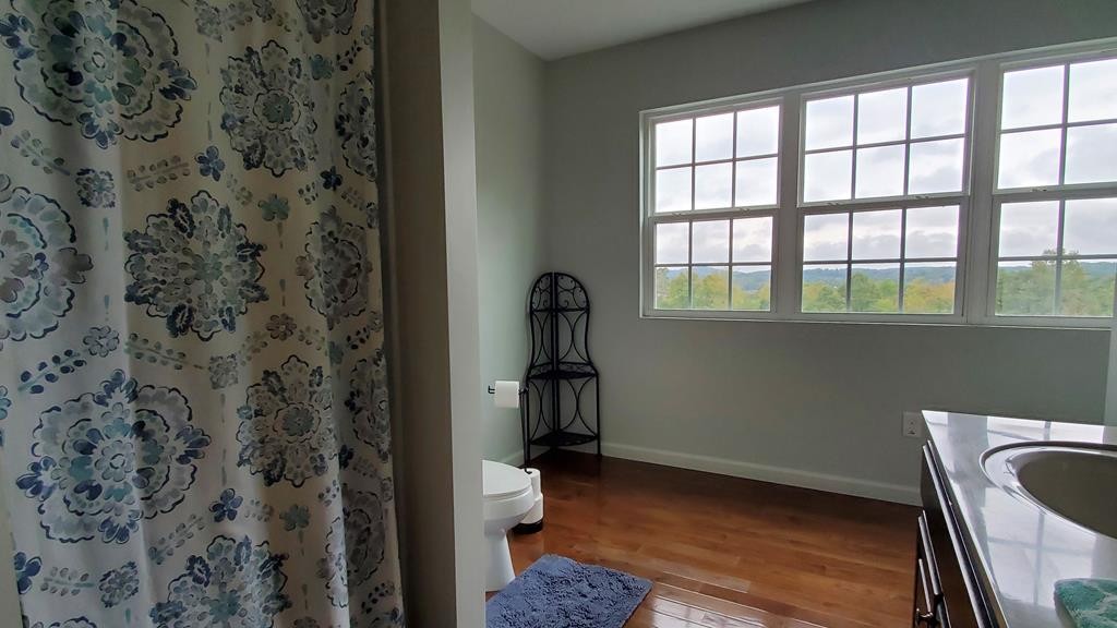 207 Elm Street Decatur, TN 37322 - Photo 29 of 50