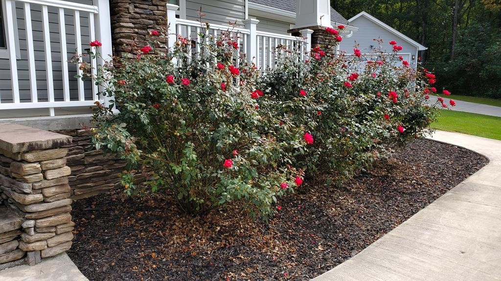 207 Elm Street Decatur, TN 37322 - Photo 46 of 50