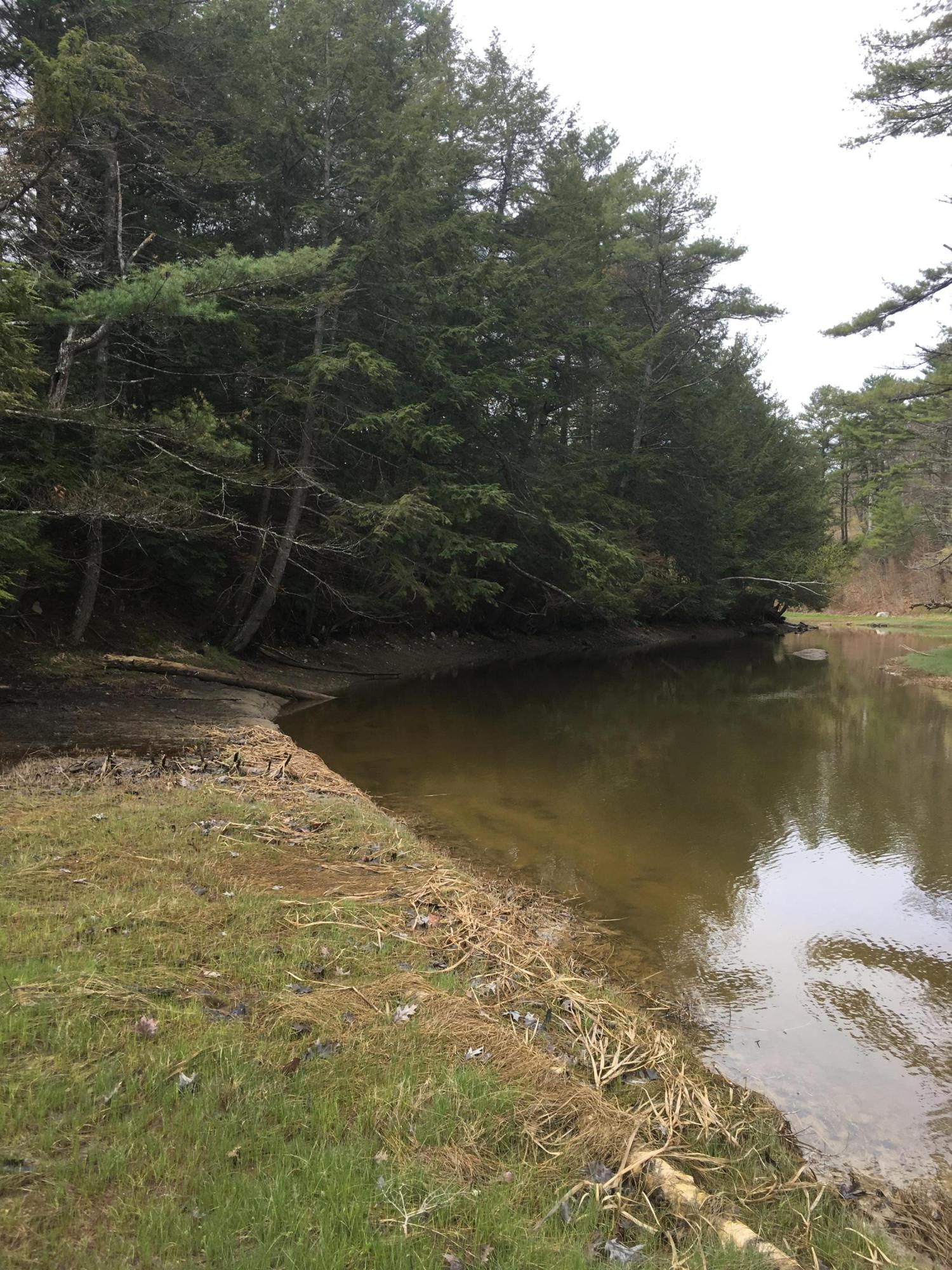 1 Clarks Point Road Wiscasset, ME 04578 - Photo 6 of 32 IMG_0469