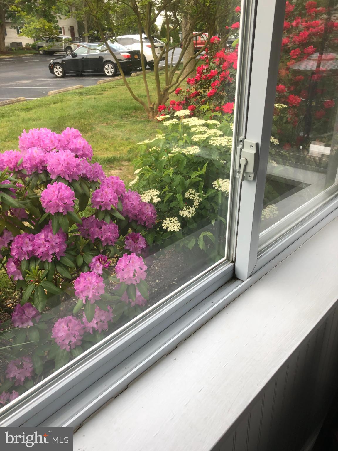 37286 Martin Street, Unit 45 Rehoboth Beach, DE 19971 - Photo 29 of 30