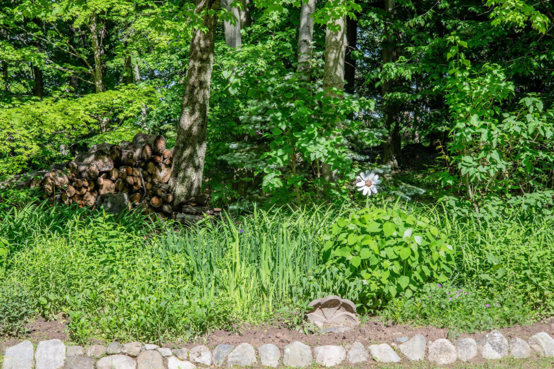 7253 West Clay Road Montague, MI 49437 - Photo 11 of 45 _TBL9711