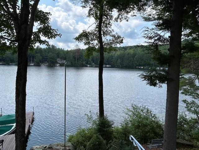 442 Jobs Creek Road Sunapee, NH 03782 - Photo 1 of 18