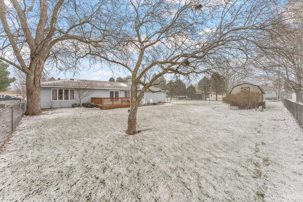 a view of a yard with a trees