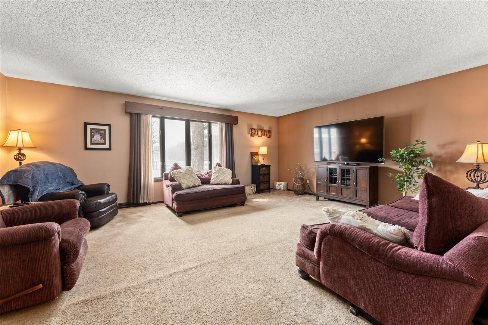 617 West 4th Street Homer, IL 61849 - Photo 5 of 42 a living room with furniture and a flat screen tv