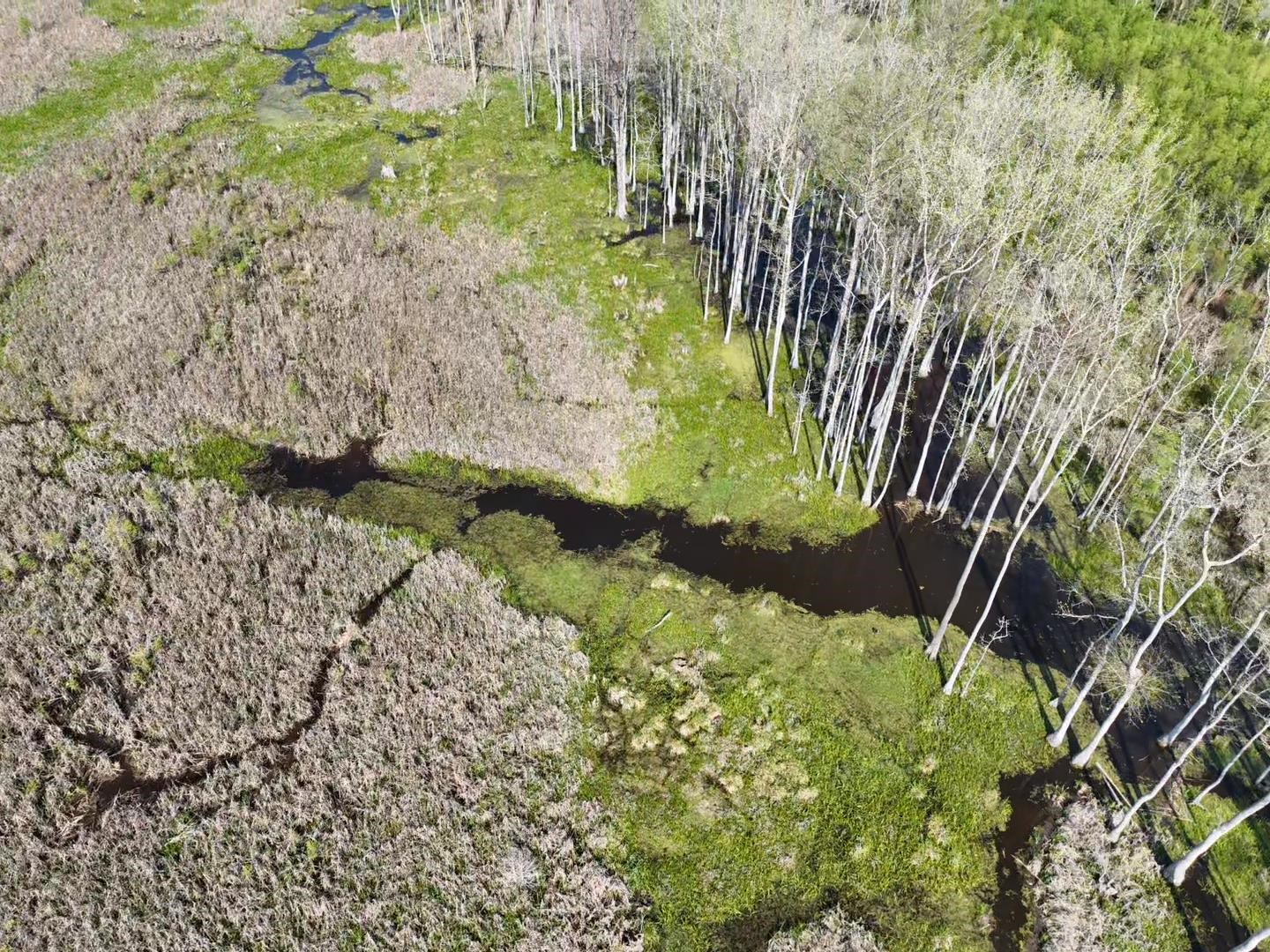 Rocky Ford Road Salters, SC 29590 - Photo 11 of 18