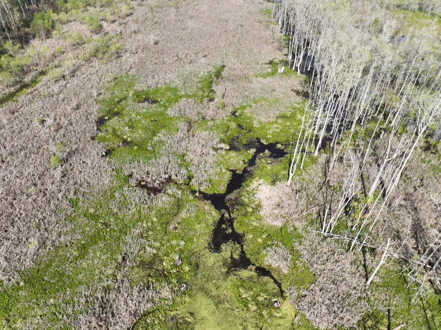 Rocky Ford Road Salters, SC 29590 - Photo 12 of 18