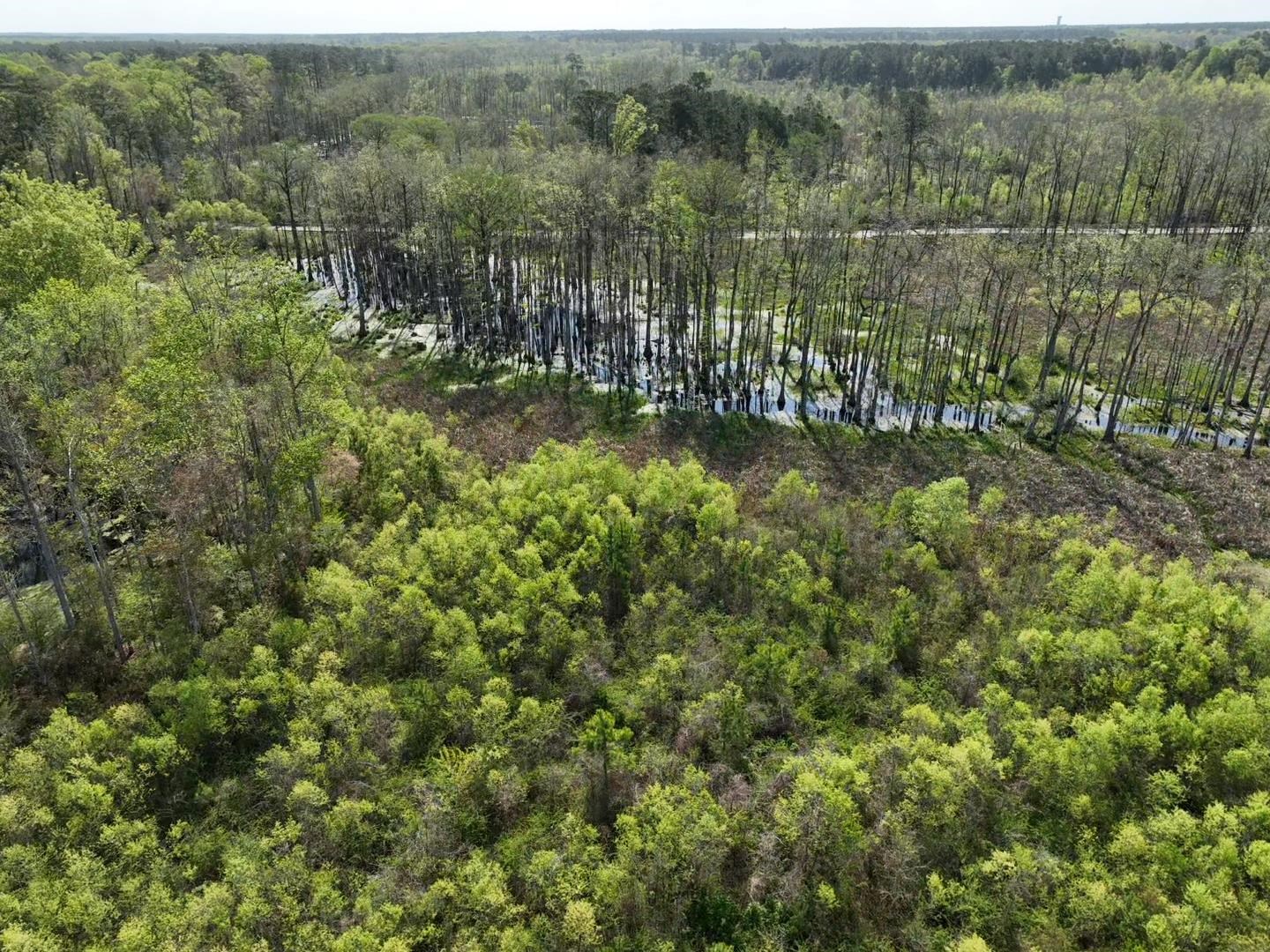 Rocky Ford Road Salters, SC 29590 - Photo 13 of 18