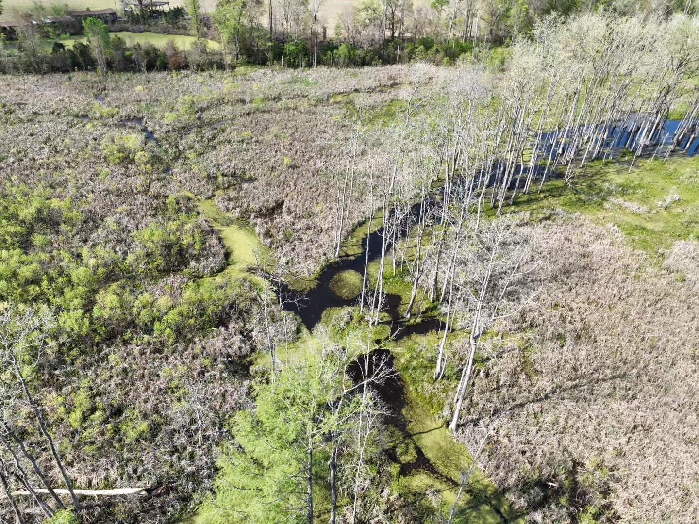 Rocky Ford Road Salters, SC 29590 - Photo 14 of 18