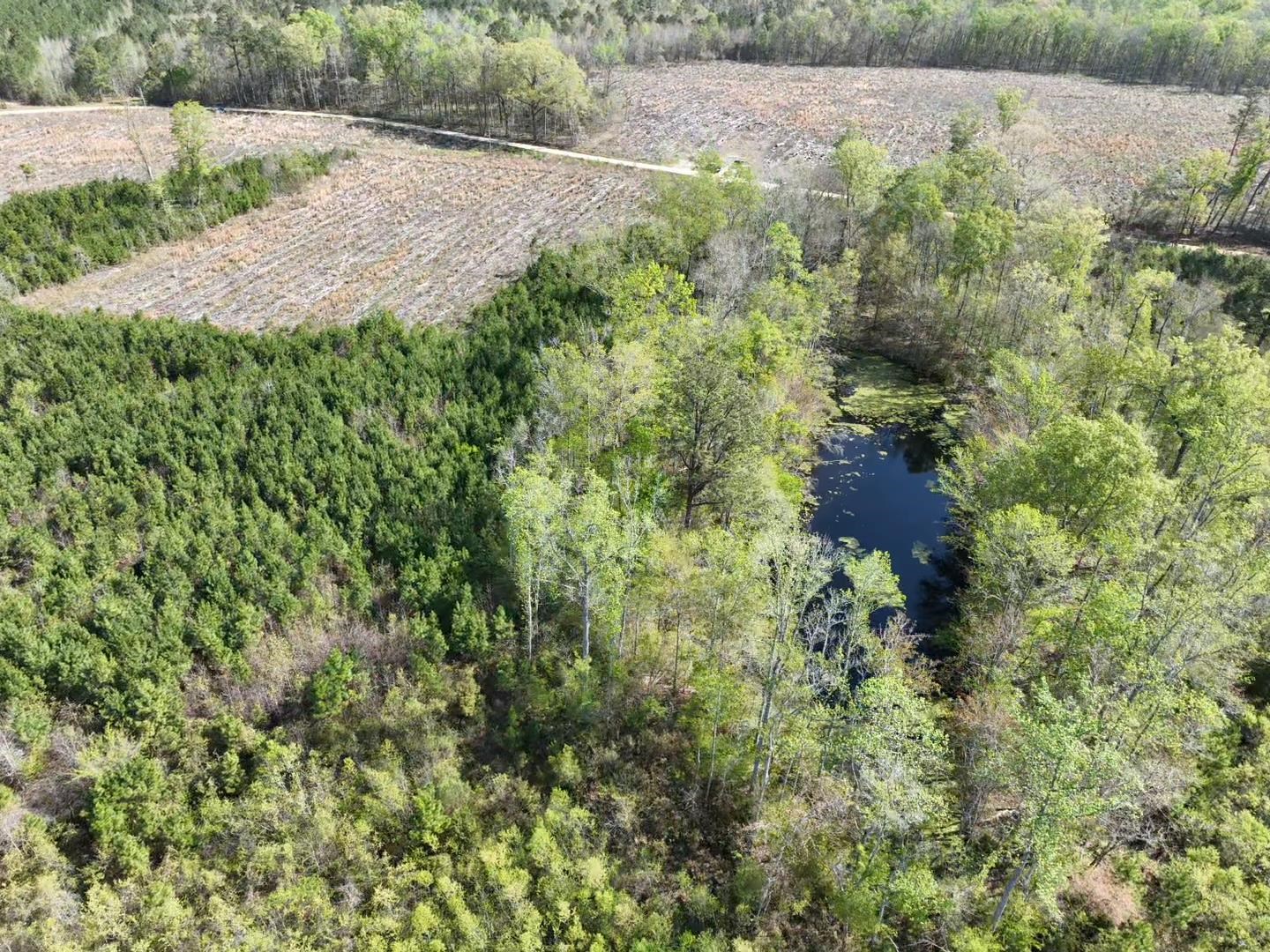 Rocky Ford Road Salters, SC 29590 - Photo 15 of 18