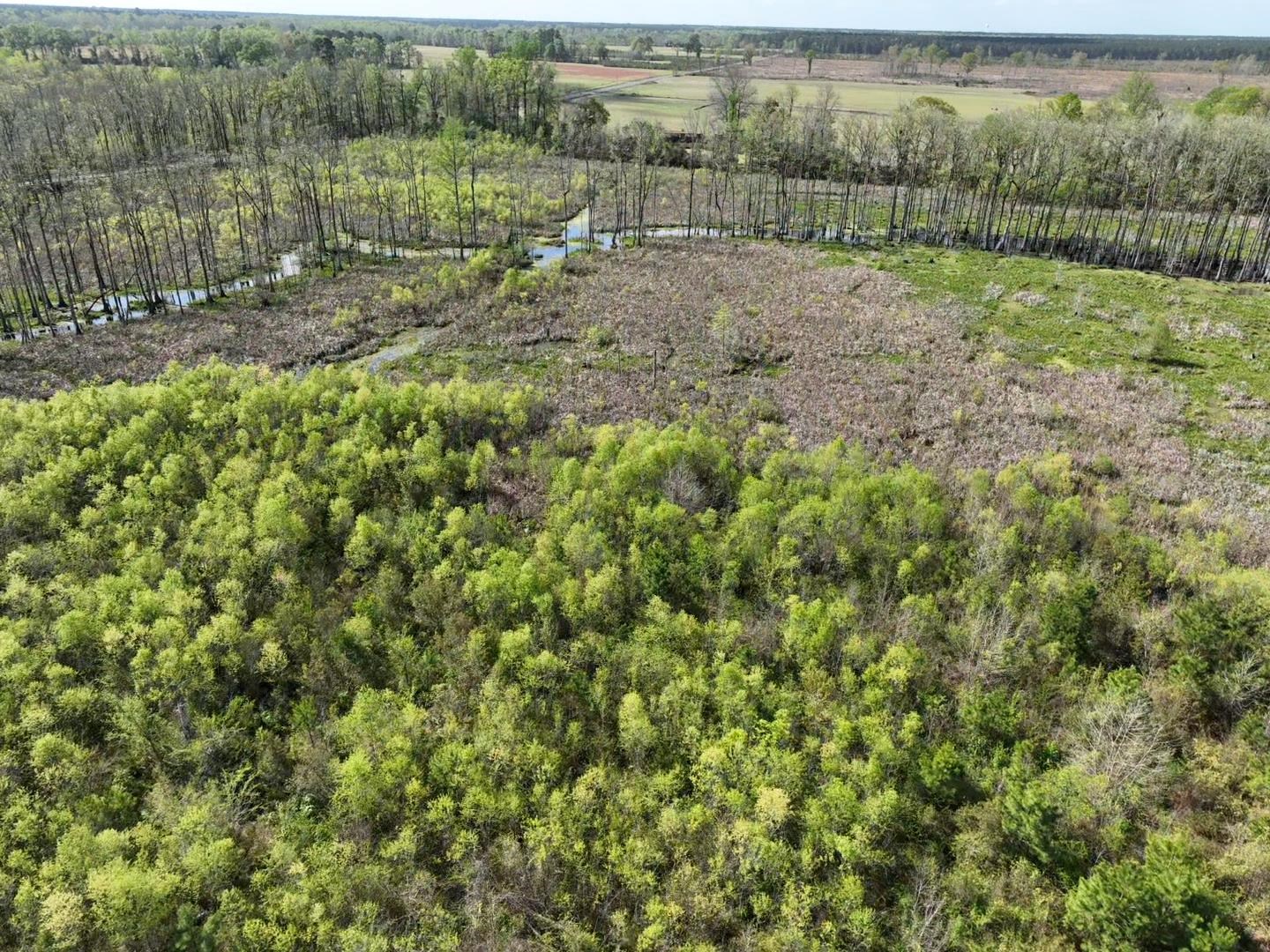 Rocky Ford Road Salters, SC 29590 - Photo 18 of 18